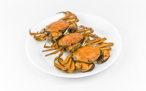 常平網(wǎng)站建設(shè) 常平網(wǎng)站建設(shè)招標公告
