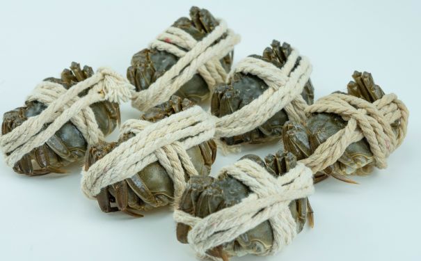 中小創(chuàng)業(yè)者怎么做公司網(wǎng)站