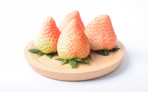 SEO優(yōu)化技巧及布局指南（助你輕松掌握SEO優(yōu)化技巧）